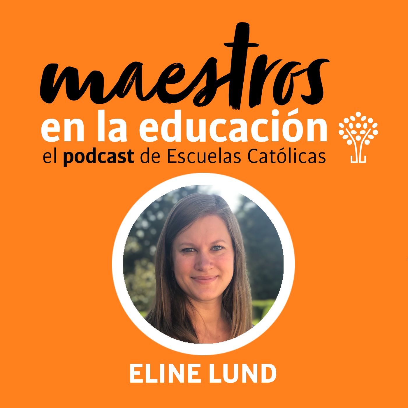 Maestros en la educación
