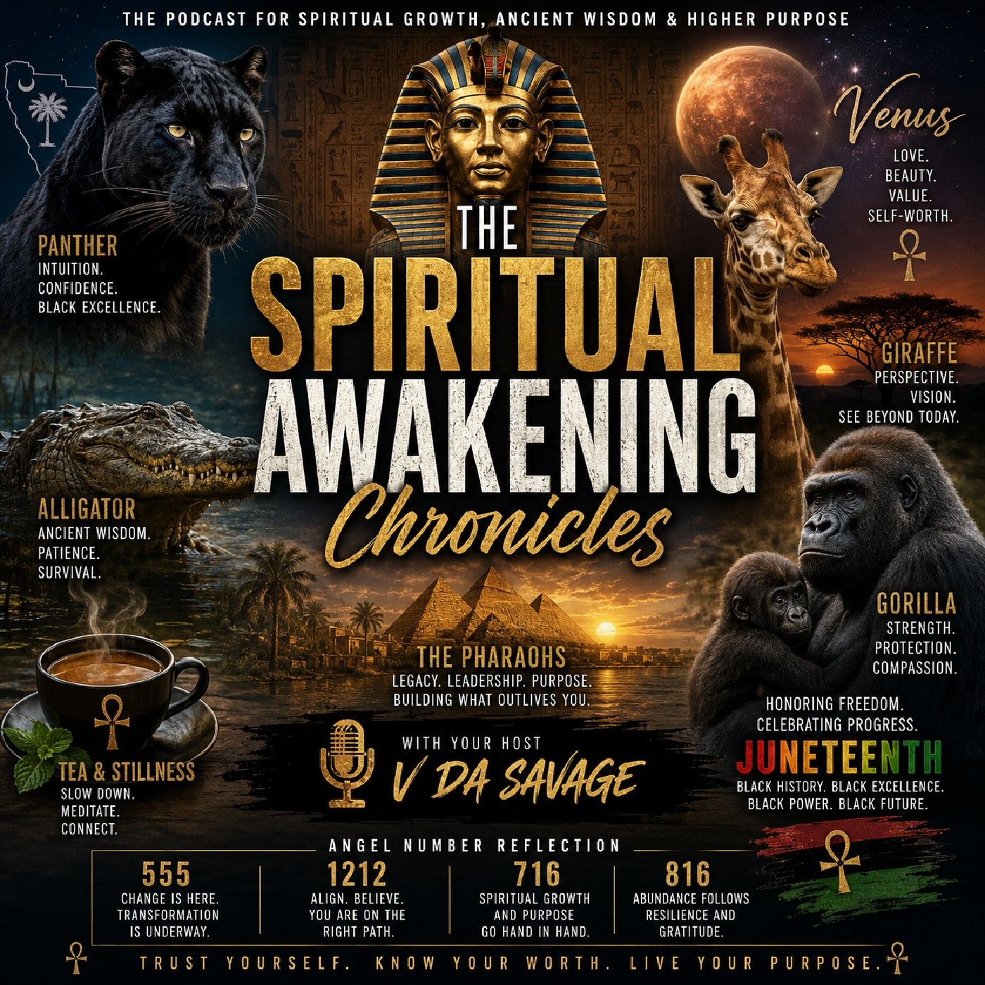 Panther, Alligator, Giraffe, Gorilla, Pharaohs, Venus & Divine Timing
Juneteenth, Black Excellence, Ancient Wisdom & Spiritual Reflection episode artwork