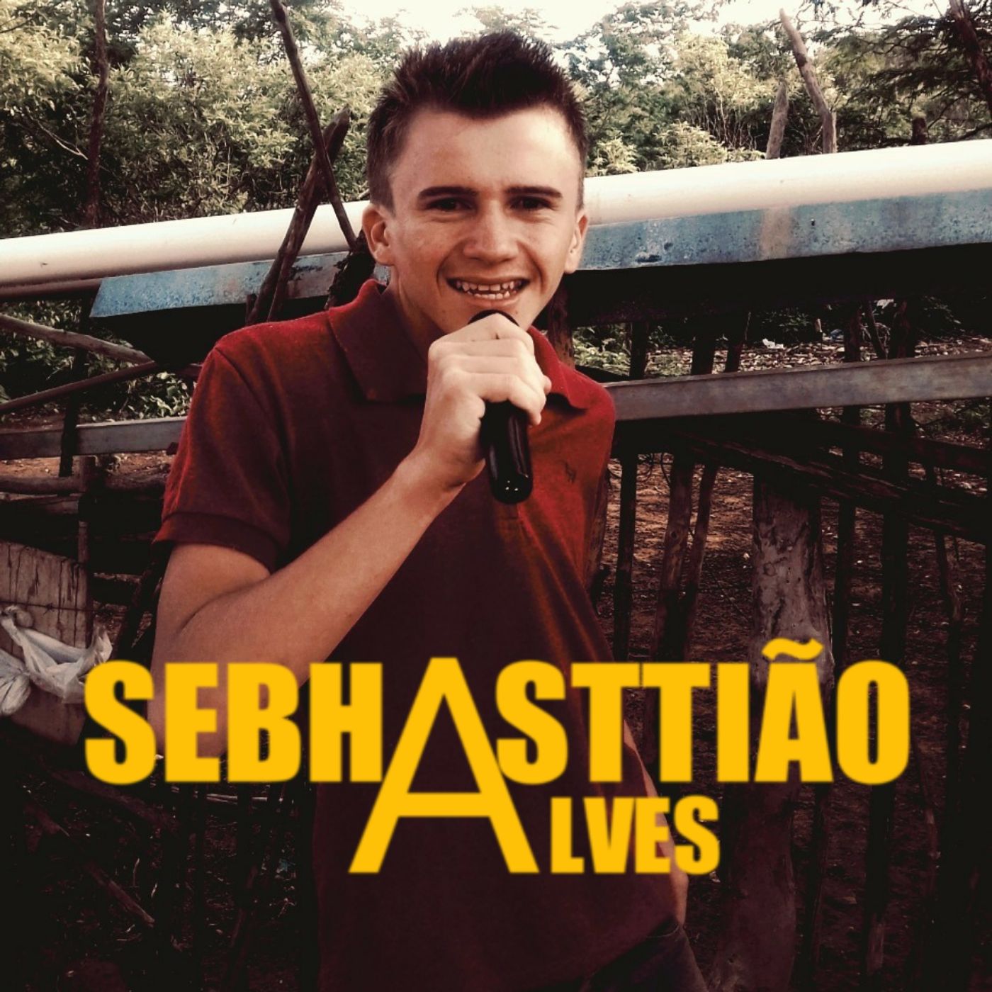 Sebhasttião Alves - As 20 Mais Tocadas