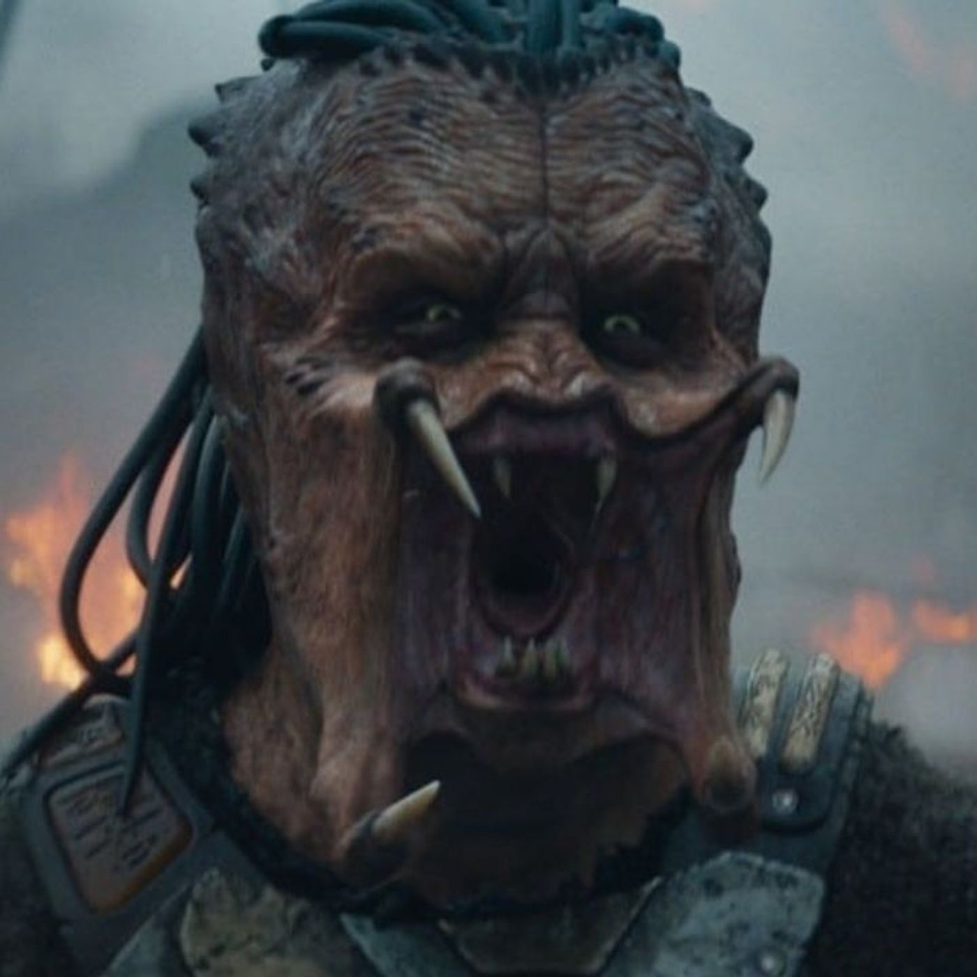 Estrenos: "Predator: Badlands", "Bugonia" y "Siempre es invierno" llegan a los cines