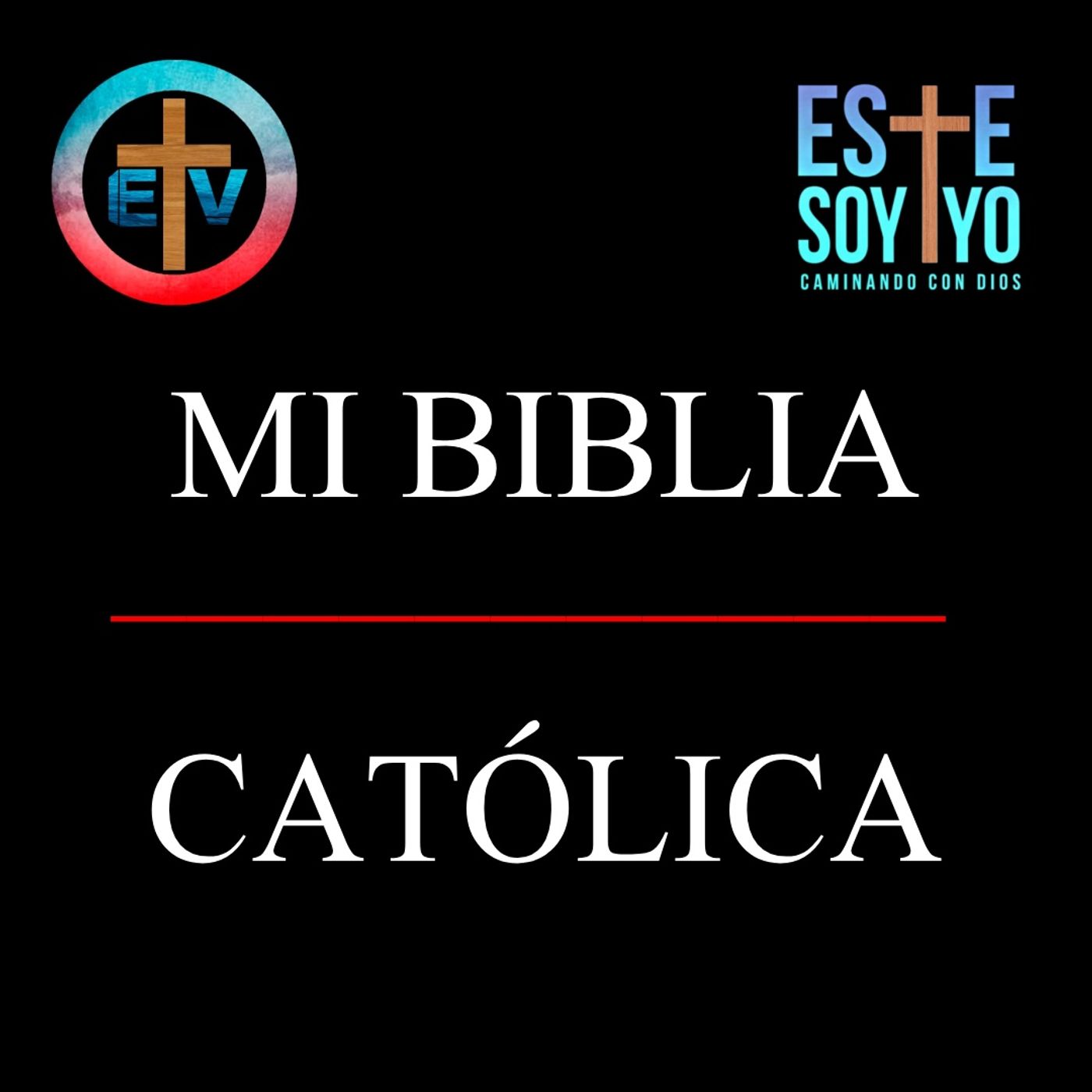 Mi biblia católica