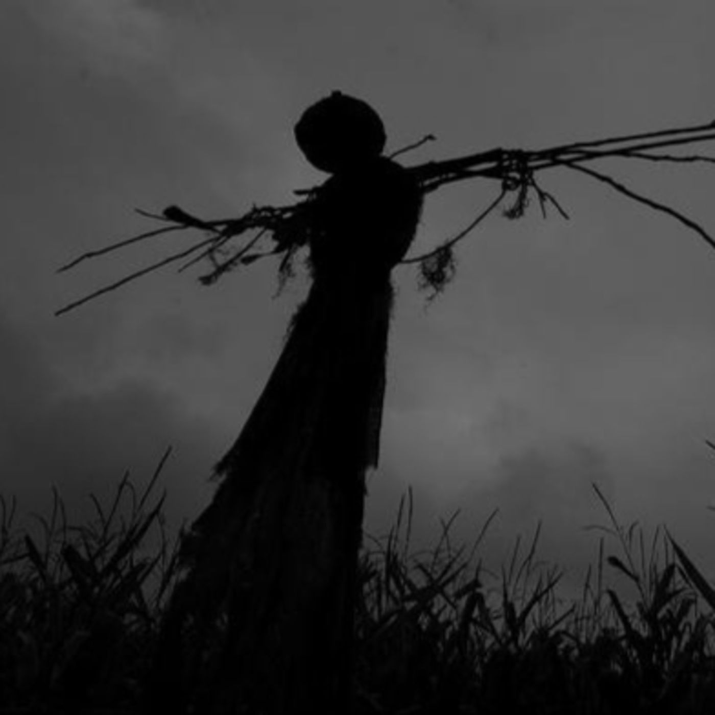 HORRORS IN THE CORNFIELDS! - "LOST IN THE MAIZE!" episode artwork