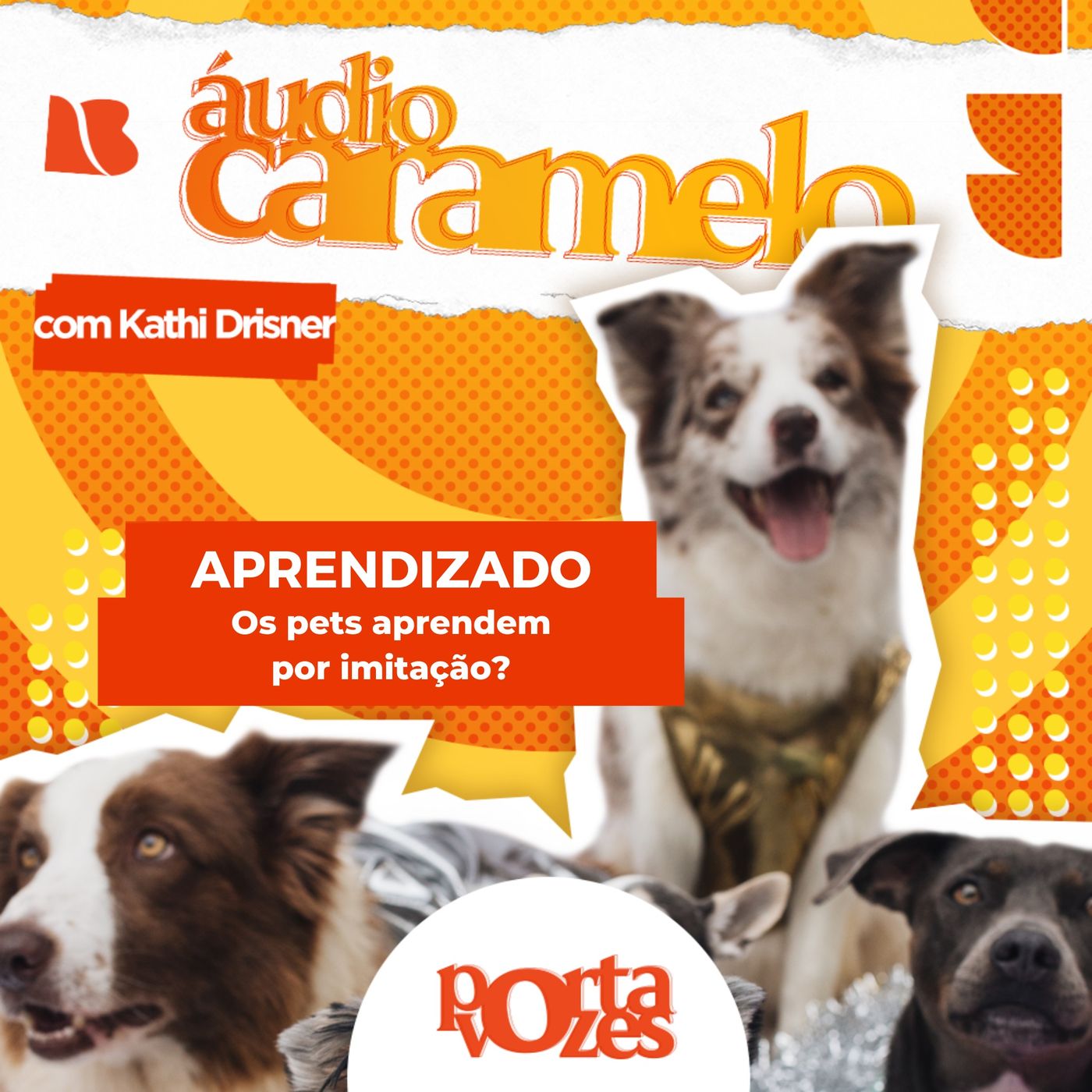 Pets aprendem por imitação? | Áudio Caramelo episode artwork