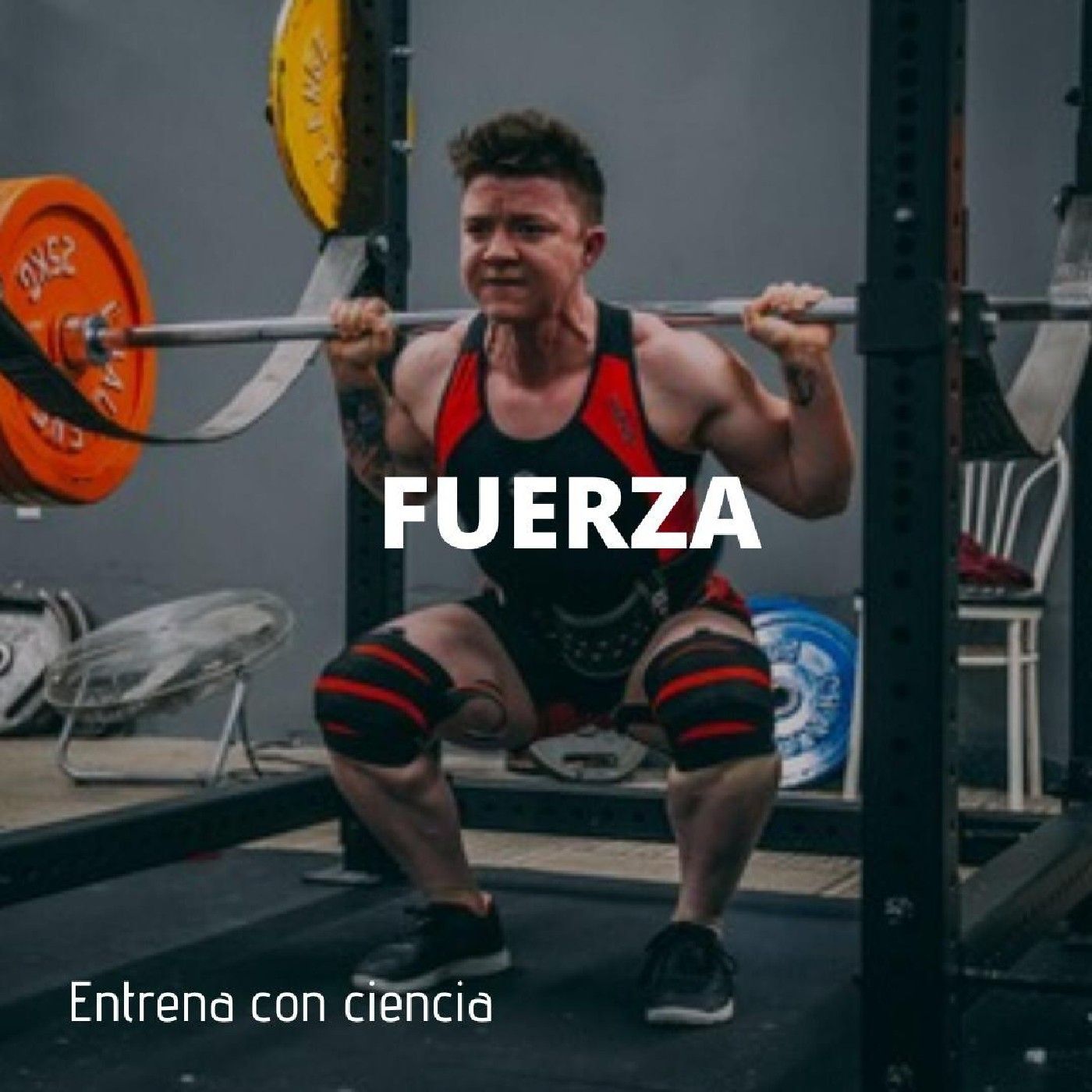 Fuerza