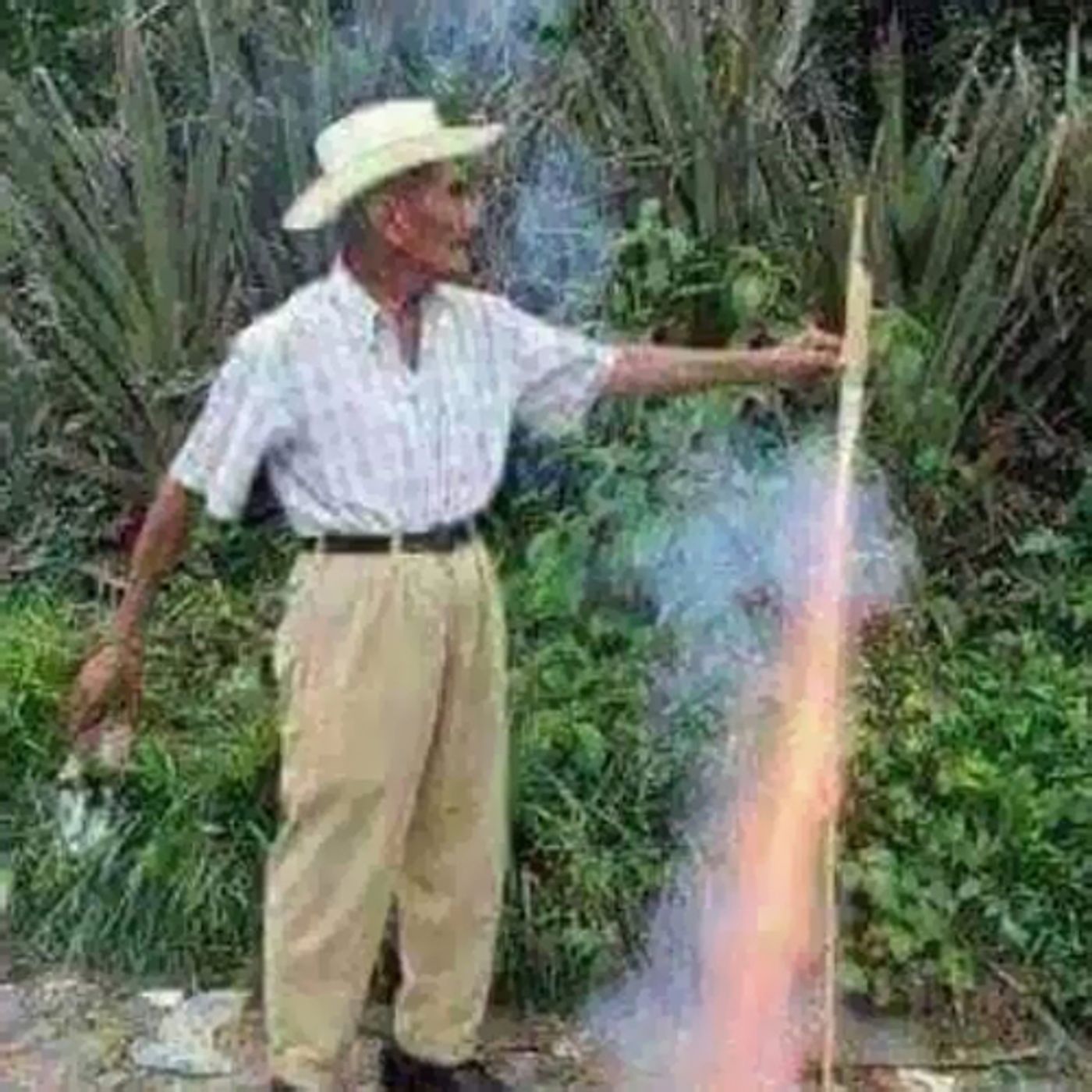 Vainas de la Vida!
