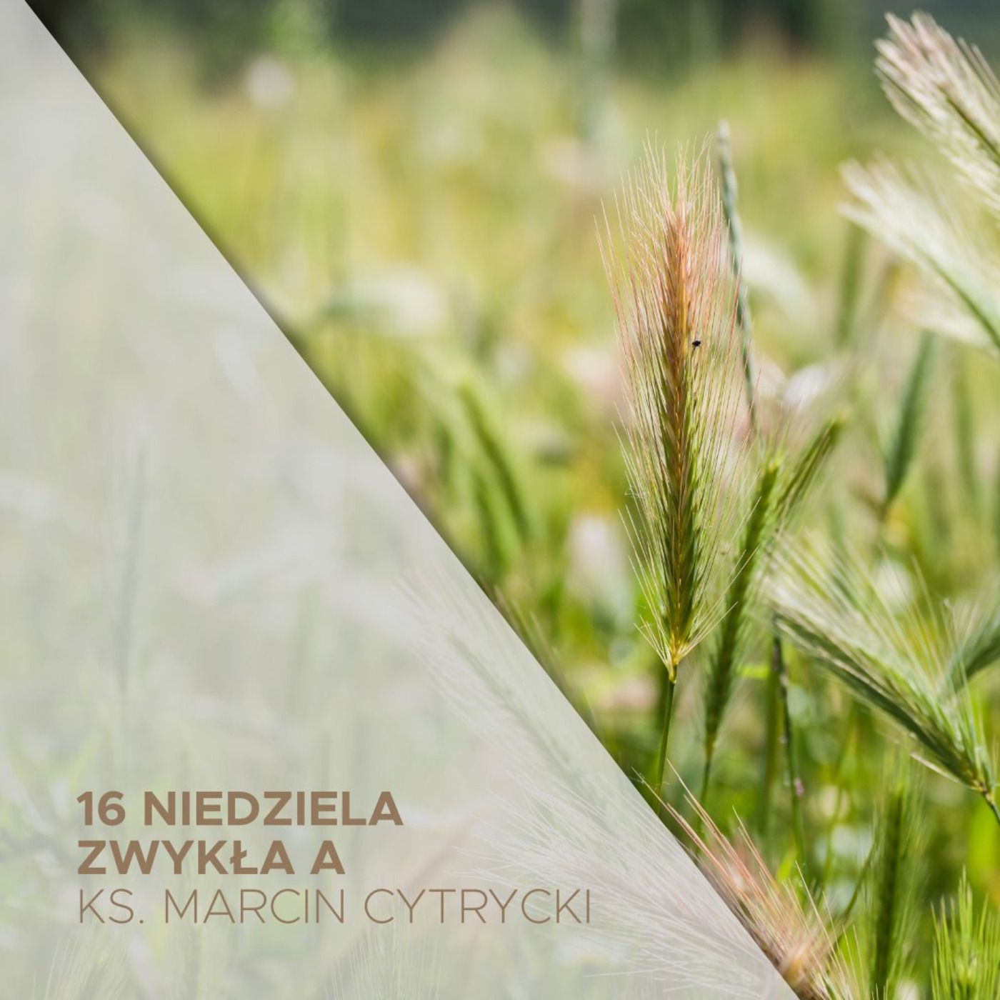 Słowo na niedzielę i nie tylko