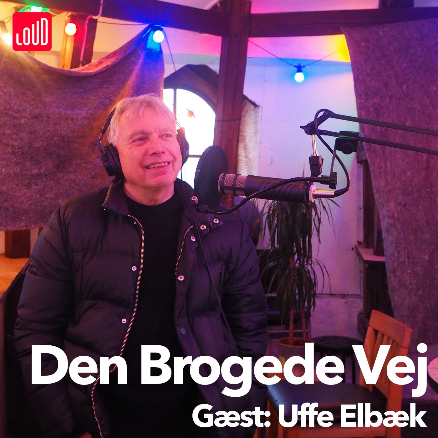 Den Brogede Vej