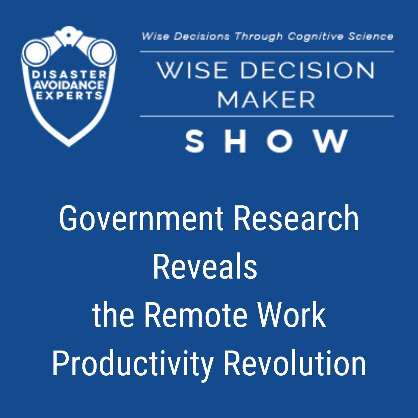 #345: Government Research Reveals the Remote Work Productivity Revolution