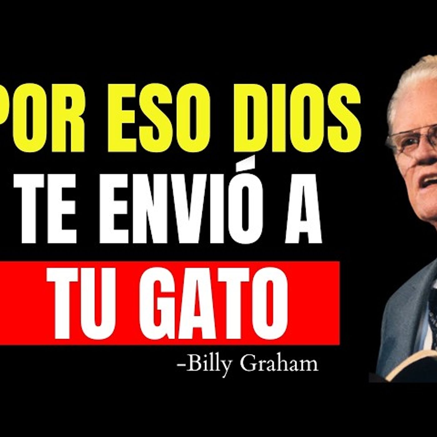 Si Amas a los Animales, Esto Es lo que la Biblia Quiere que Sepas - Predicas Cristianas