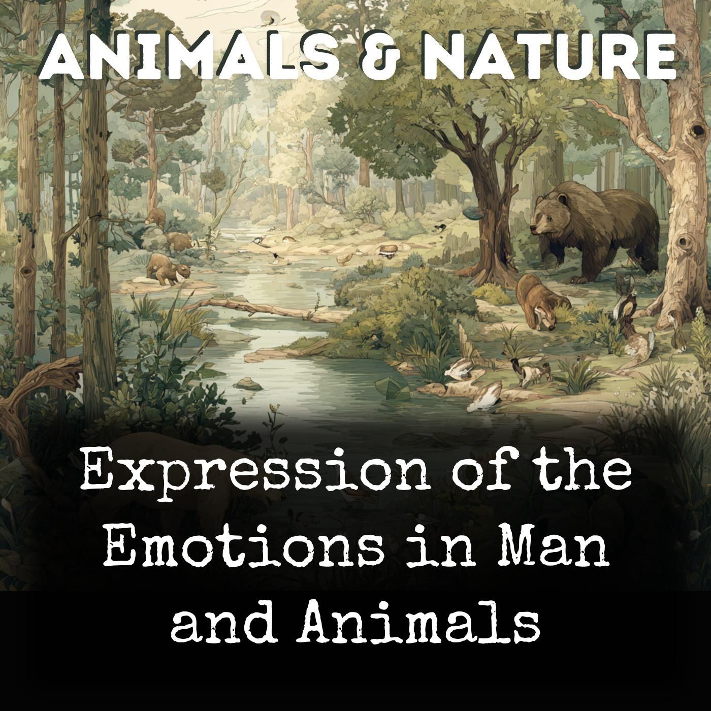 Expression of the Emotions in Man and Animals cover art