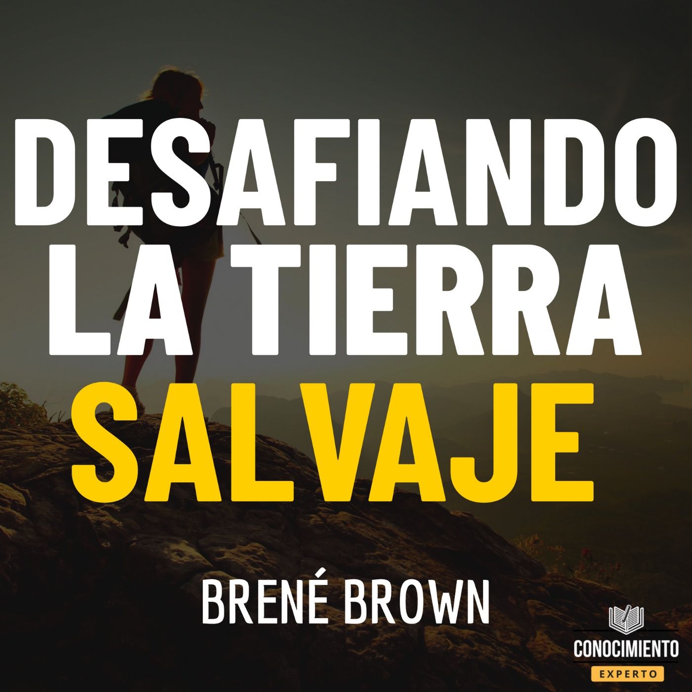 Conocimiento Experto