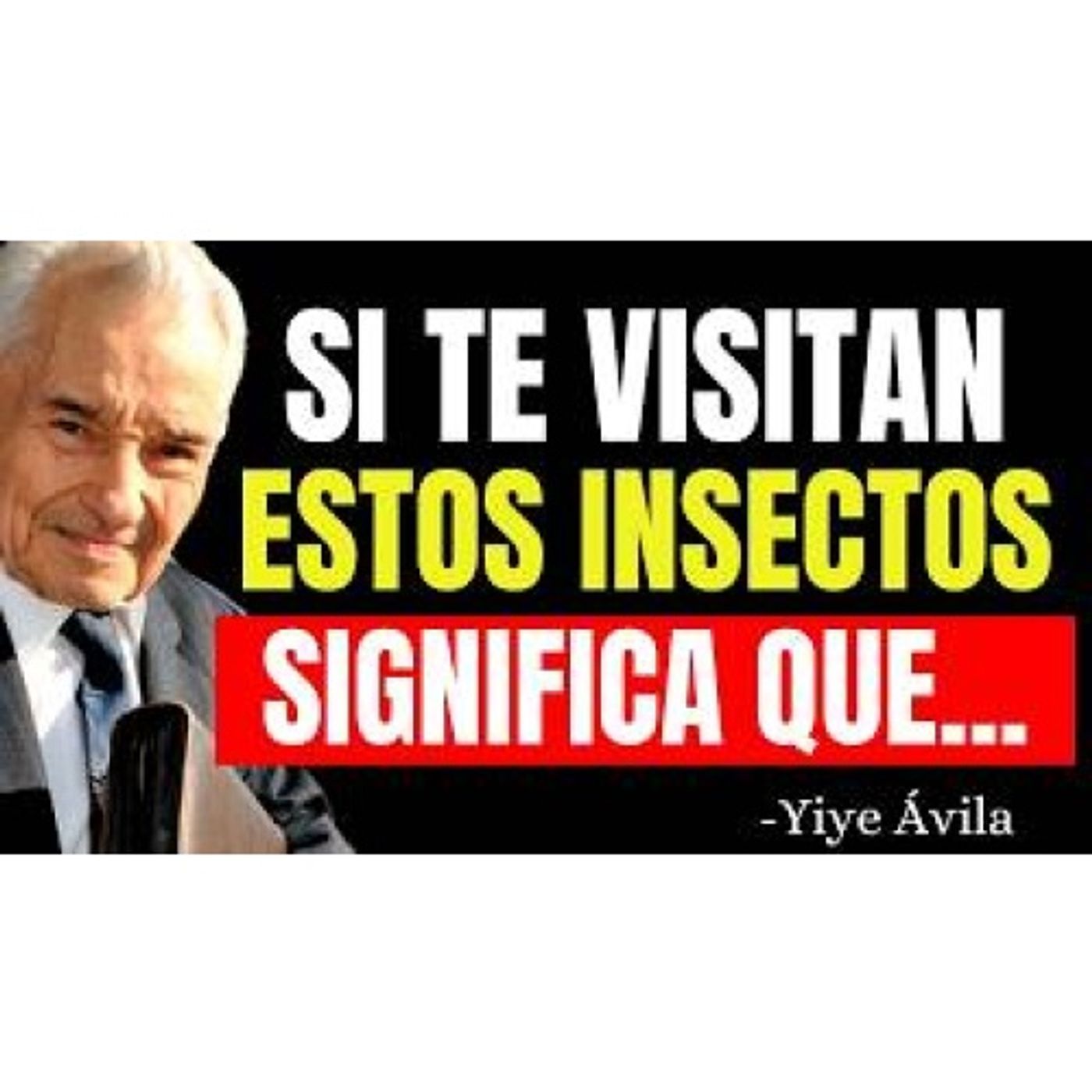 ¿Sabías que los INSECTOS que APARECEN en Tu CASA Tienen Significado Espiritua? - Predicas Cristianas