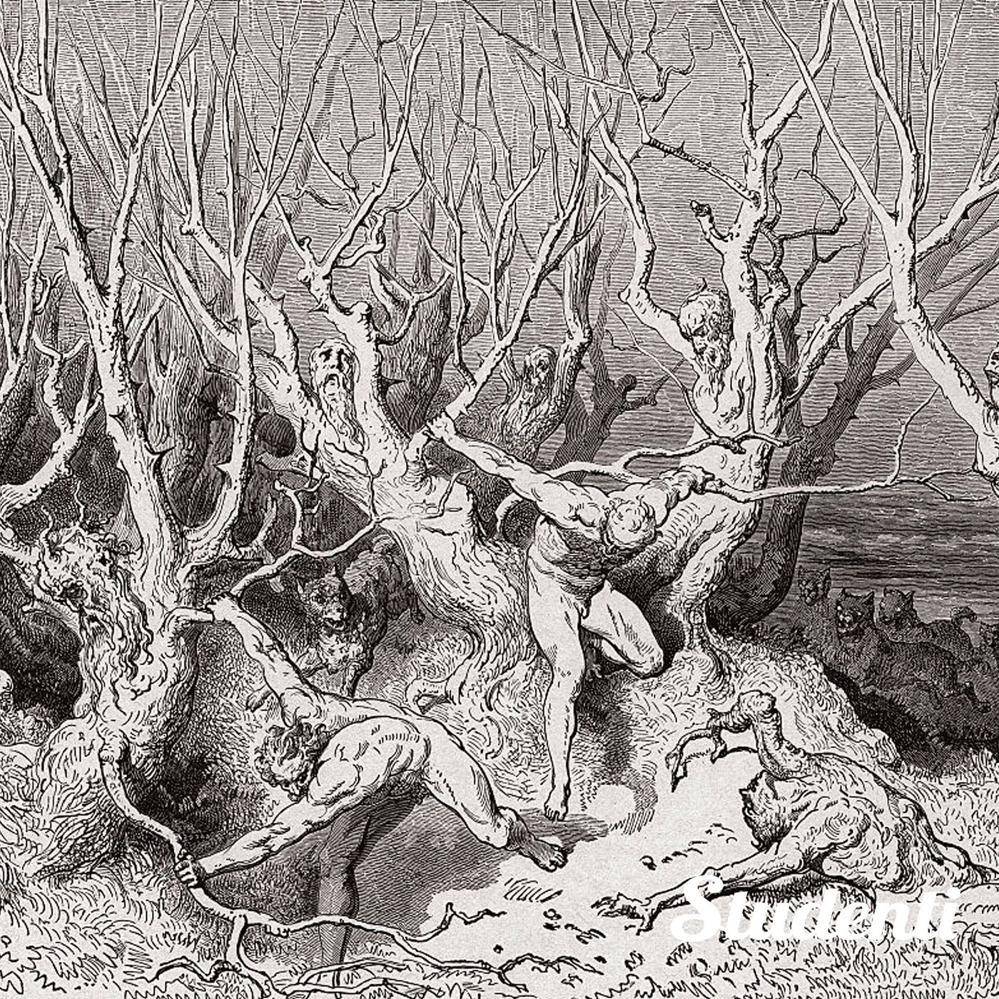 Letteratura - Dante Alighieri, Divina Commedia. Il Canto XIII dell'Inferno episode artwork