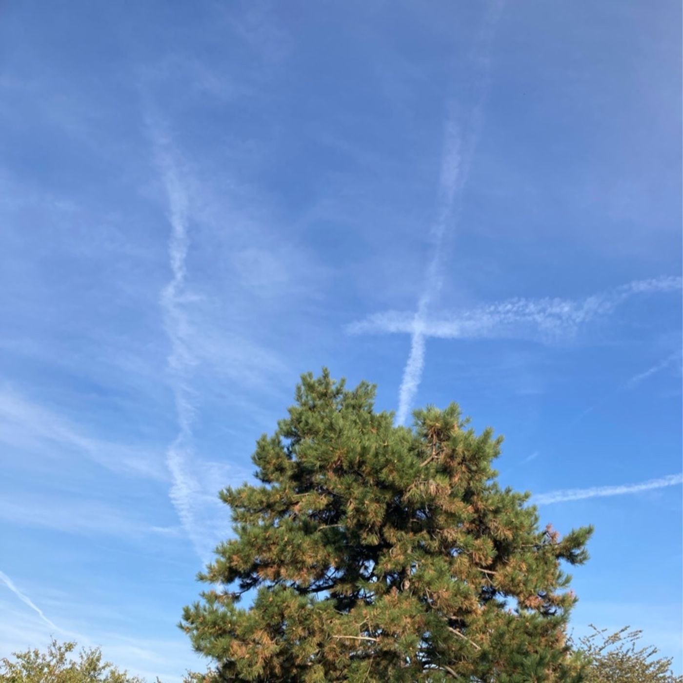 Episode 119 - Positivity Successor (SOBRIETY)