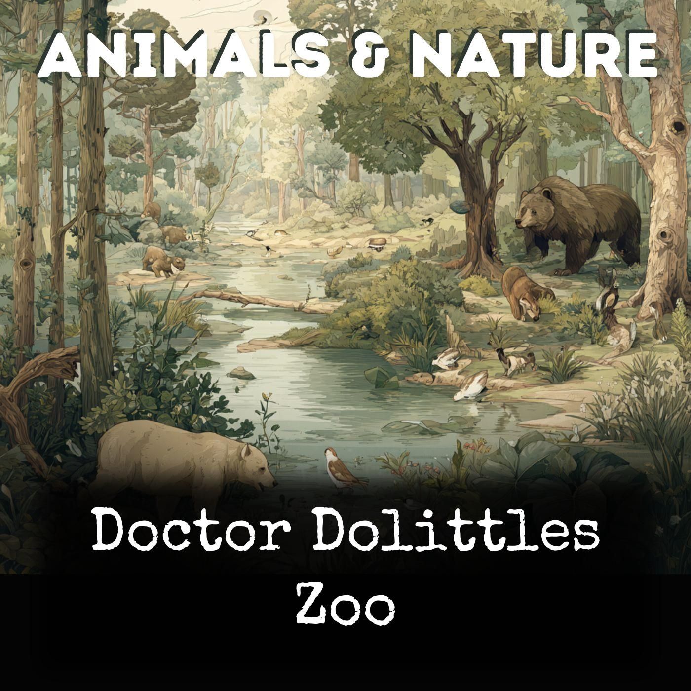 Doctor Dolittles Zoo