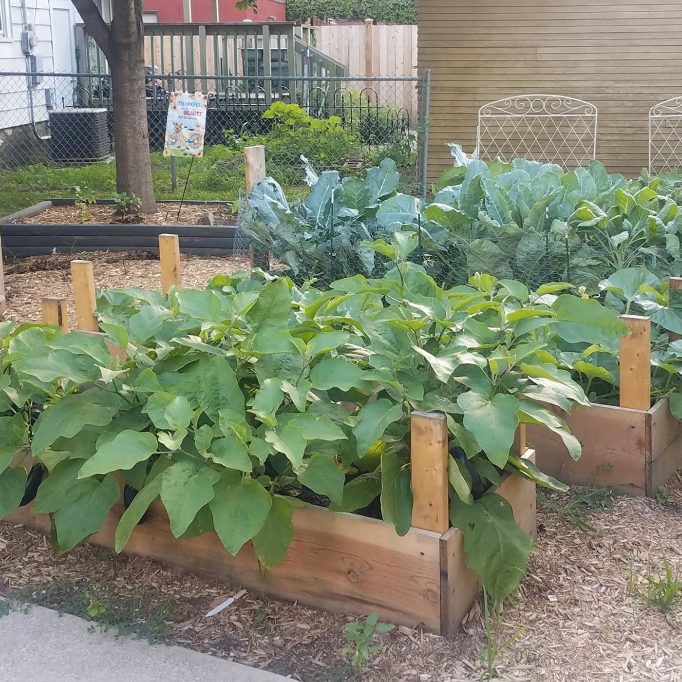 E9 Eco Gardens by Washburn LLC Podcast ready for spring episode artwork