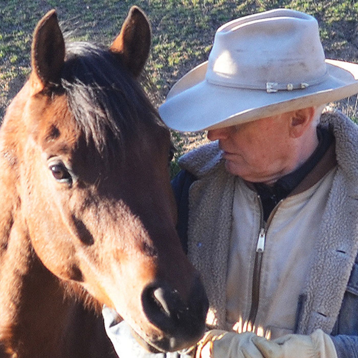 30 (Part 2) Soul of a Horse Author Joe Camp Talks Horses and the Deep Lessons They Teach episode artwork