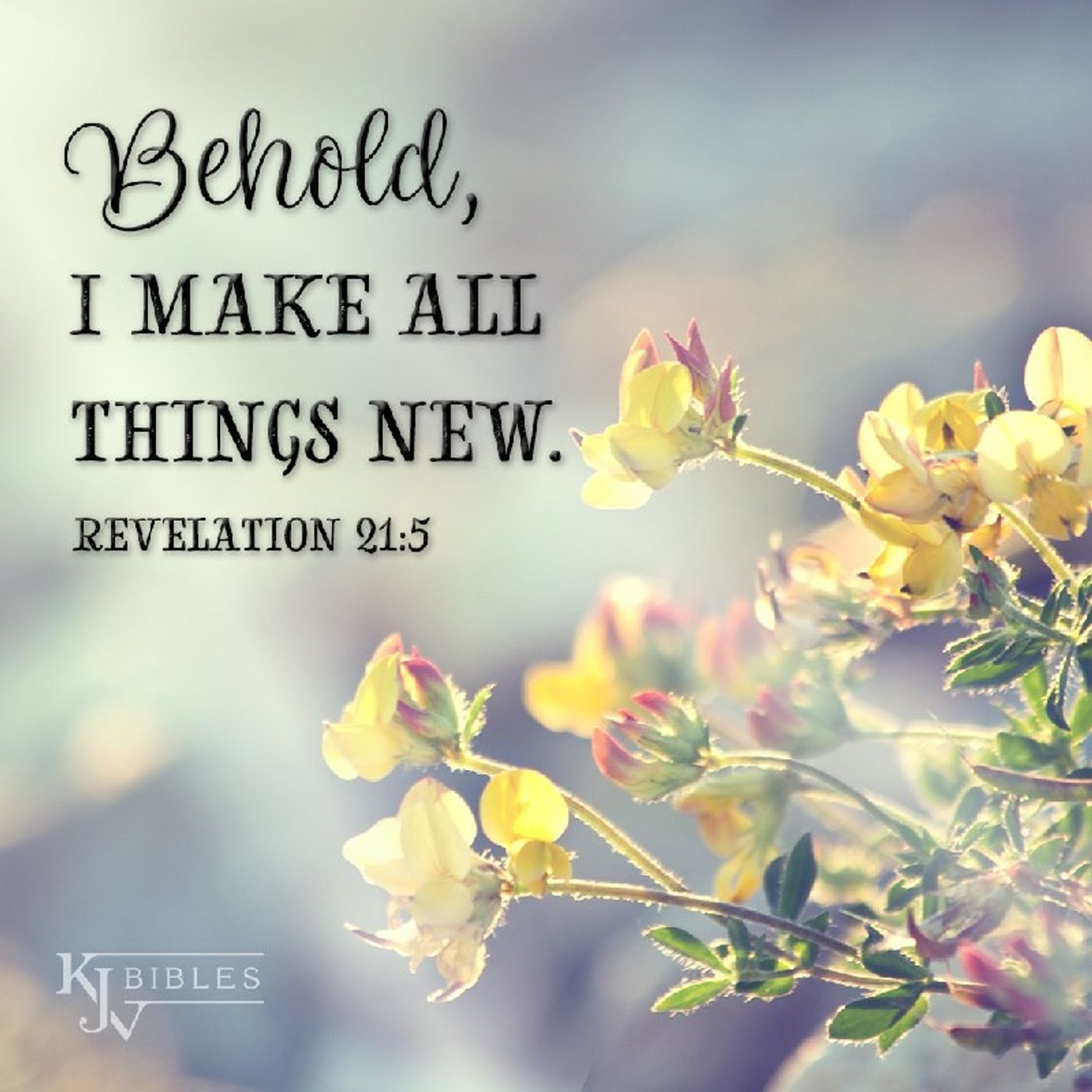 Episode 100 "I am Making Everything New."