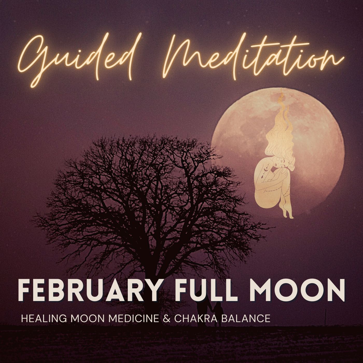 The Psychic Soul Meditations