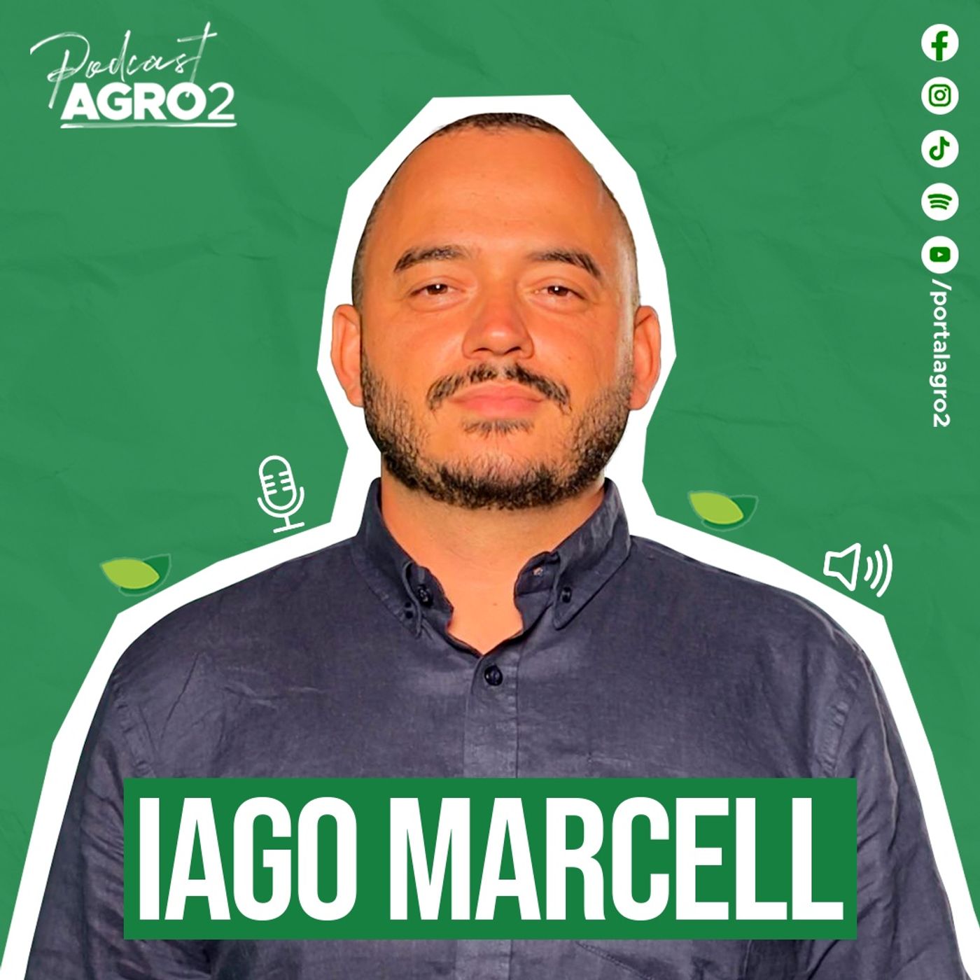 Como a oferta e a demanda influenciam o preço da goiaba? #410 episode artwork