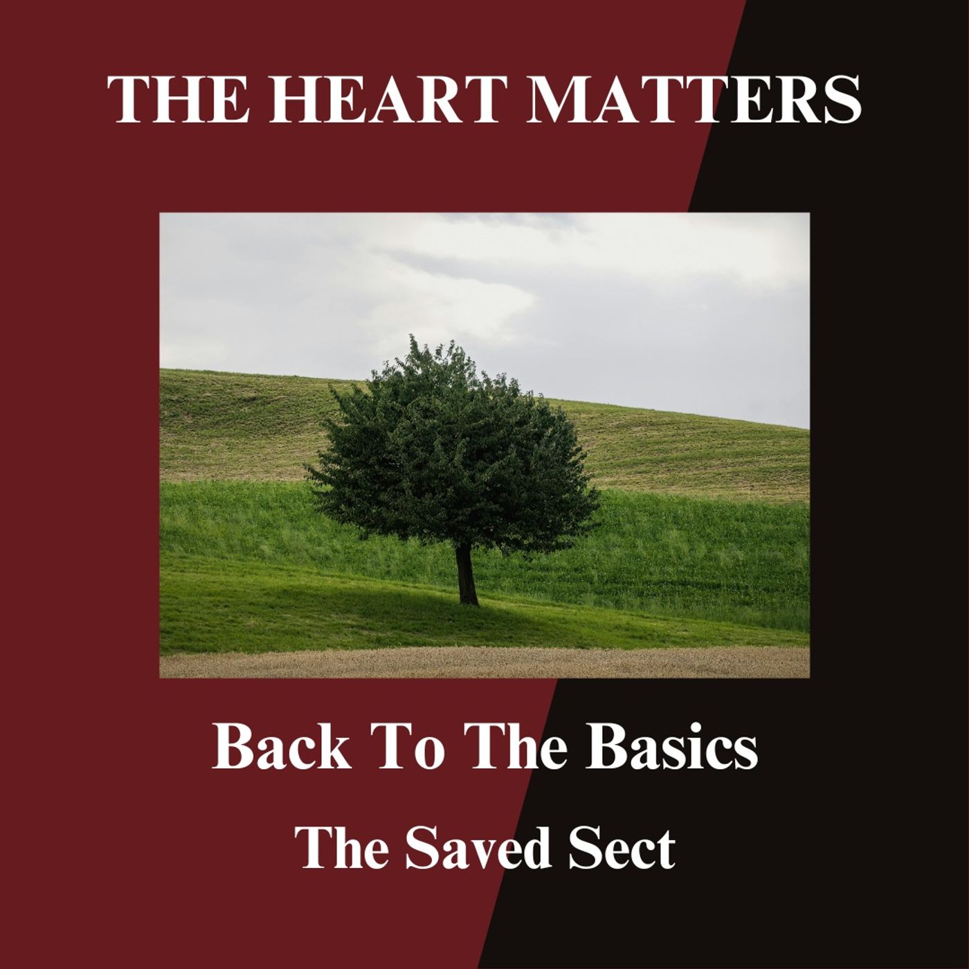 The Saved Sect