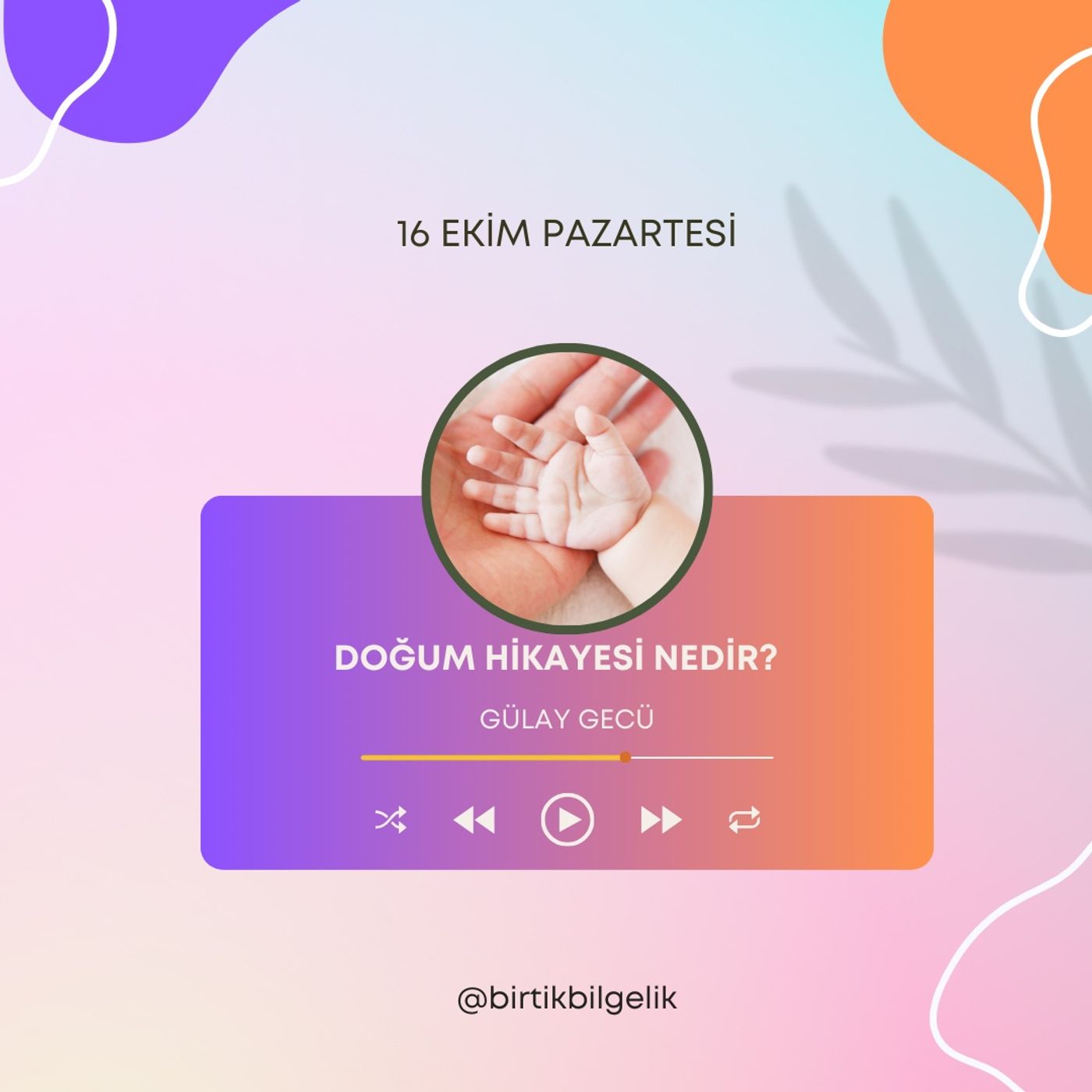 Gülay Gecü ile Bir Tık Bilgelik