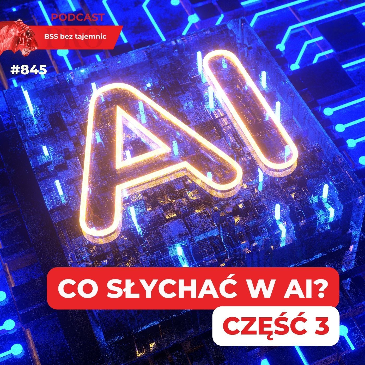 BSS bez tajemnic