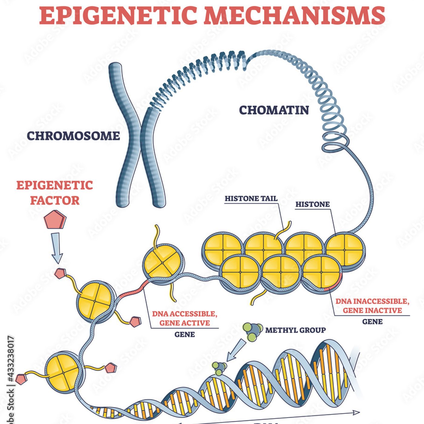 Epigenetics&Pharmacologic in Psychiatry podcast artwork