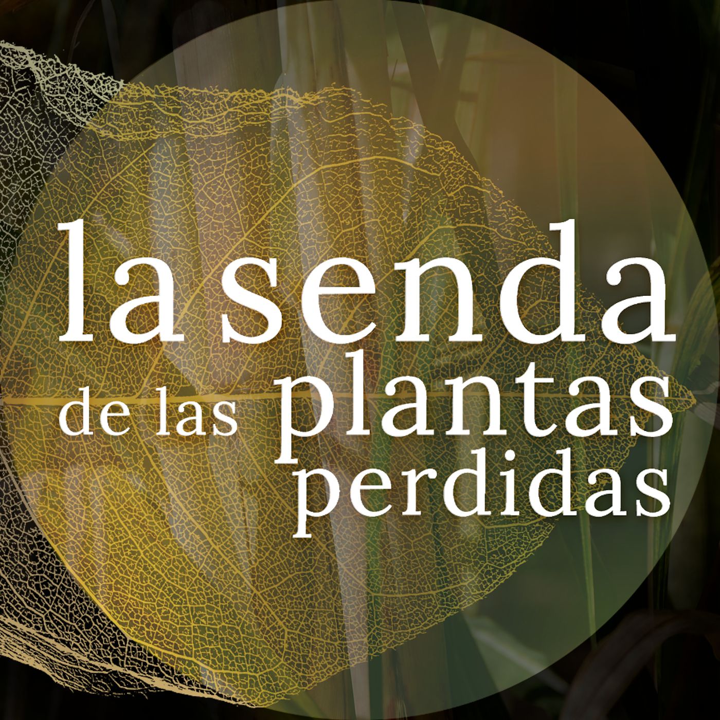 La Senda de las Plantas Perdidas