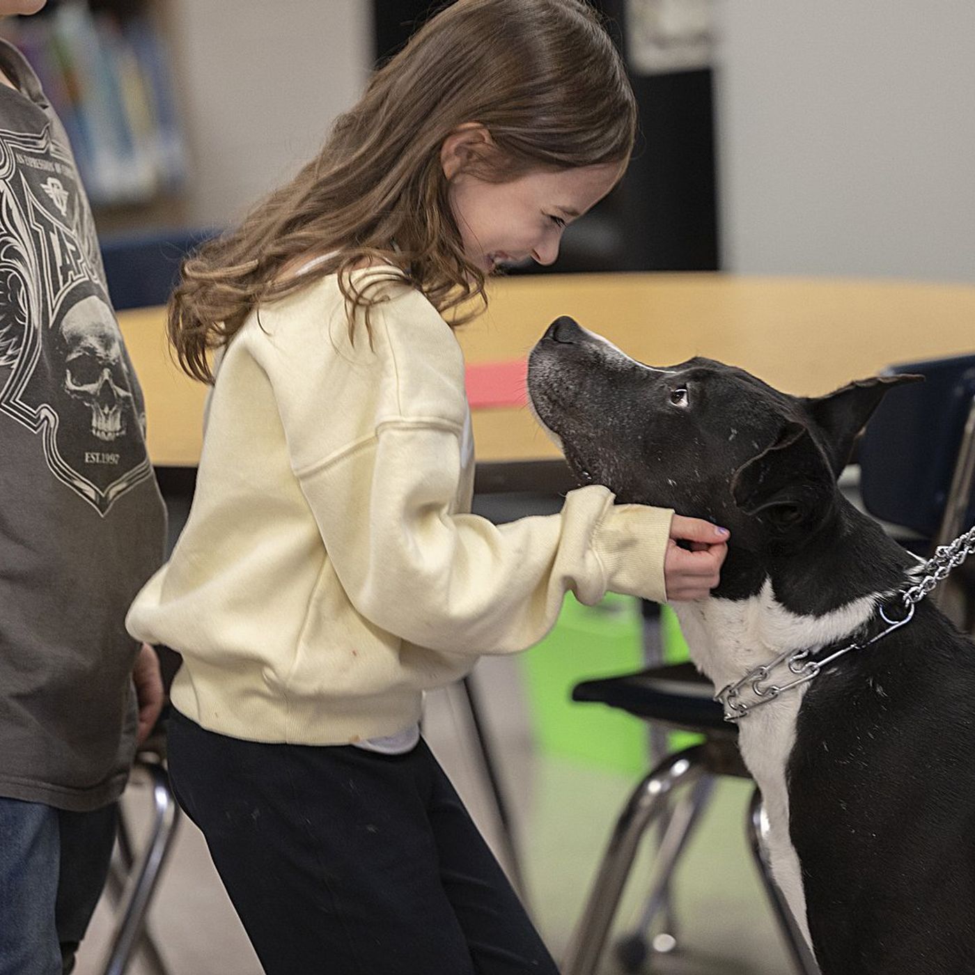Give Me Shelter: Granny Rose dogs visit Jefferson School episode artwork