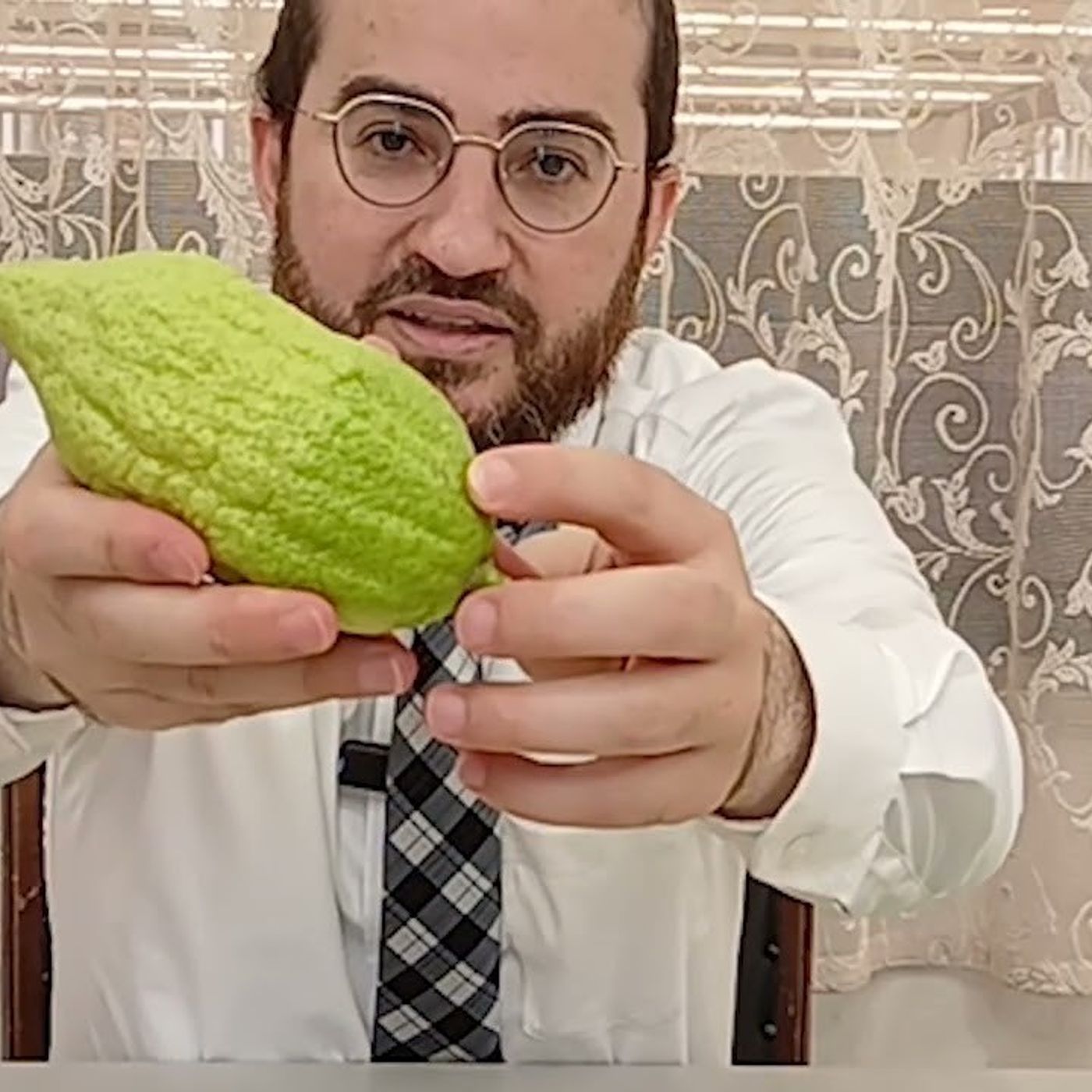 כך תבחרו את ארבעת המינים שלכם | מדריך מפורט ומעשי עם המחשה ויזואלית לבחירת ארבעת המינים מהרב דוד בכר episode artwork