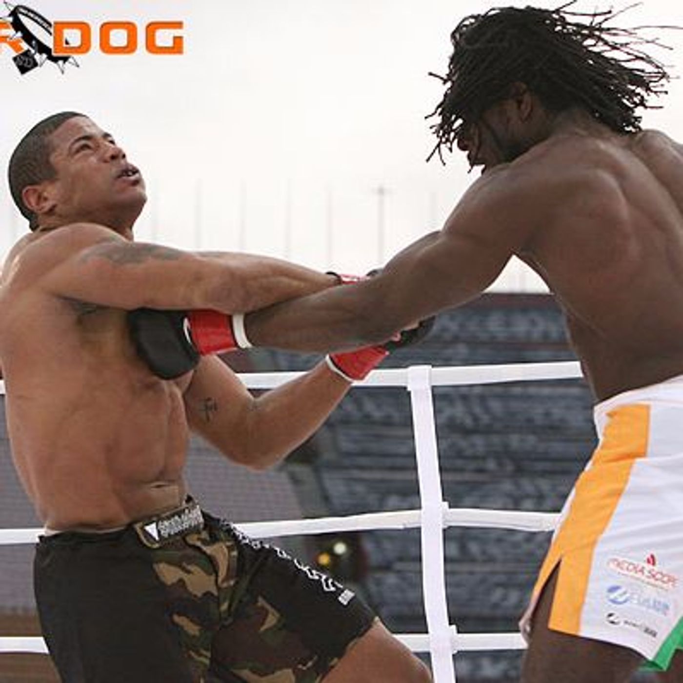 Collapsed MMA: K-1 Dynamite! USA episode artwork