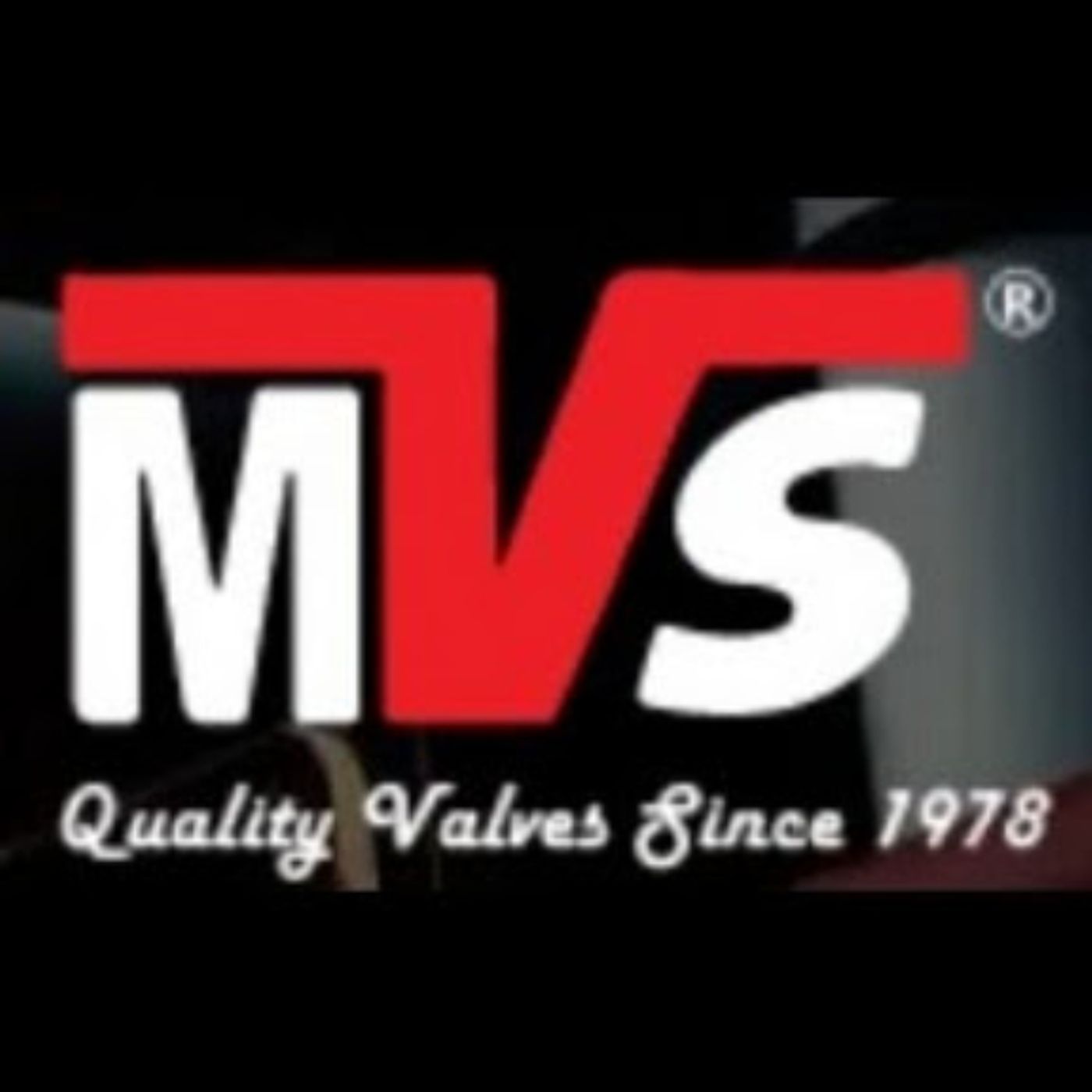 Mayur Valves