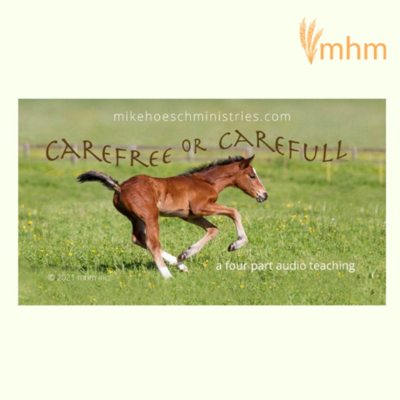 Carefree or Carefull?