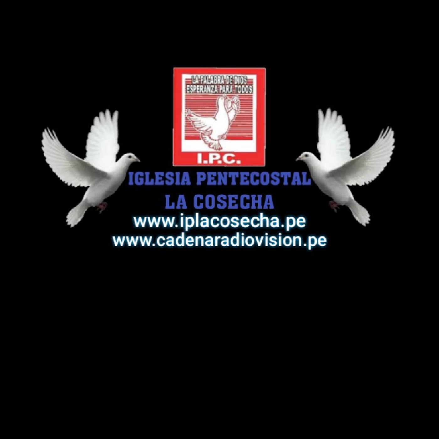 Iglesia Pentecostal La Cosecha