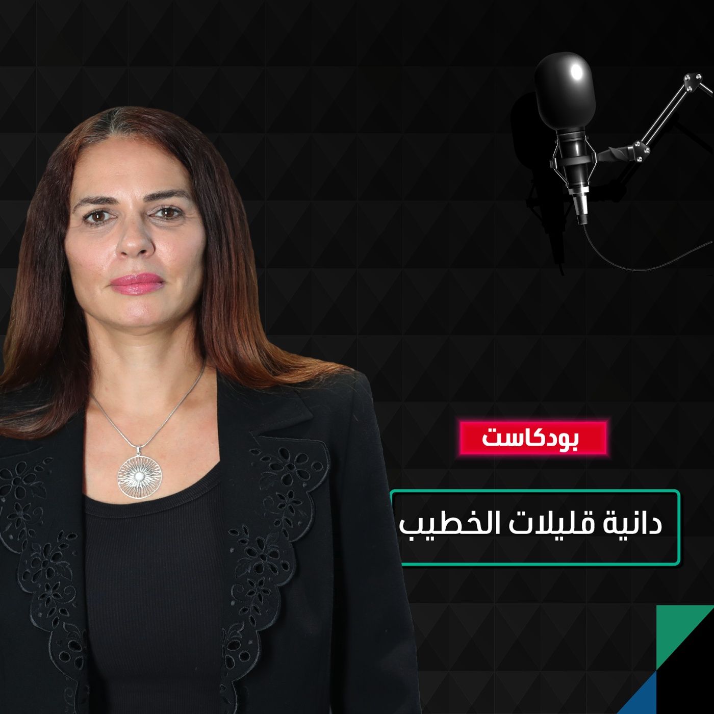بسبب الصراع في غزة.. المجتمع الدولي أمام مفترق طرق episode artwork