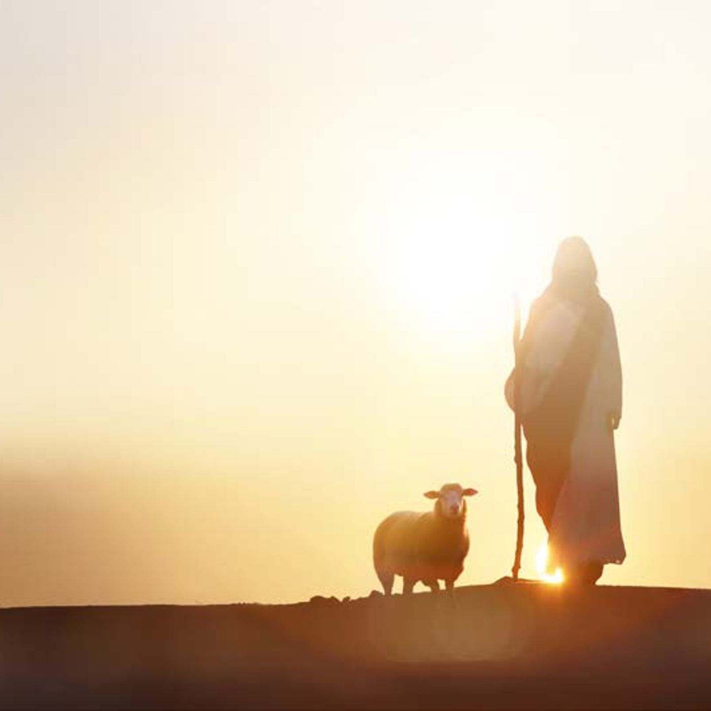 Will Jesus Say "I Never Knew You?" Will Jesus Say "I Never Knew You?"