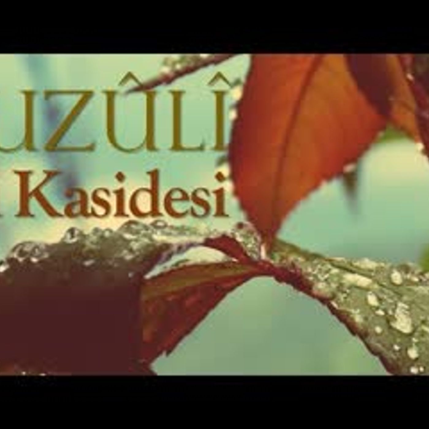 NİKOLAYKA DOSTOYEVSKİ sesli kitap tek parça Akın ALTAN