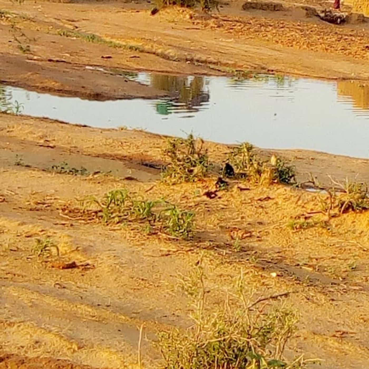 La crue de la Sirba, Niger  Juillet  2020