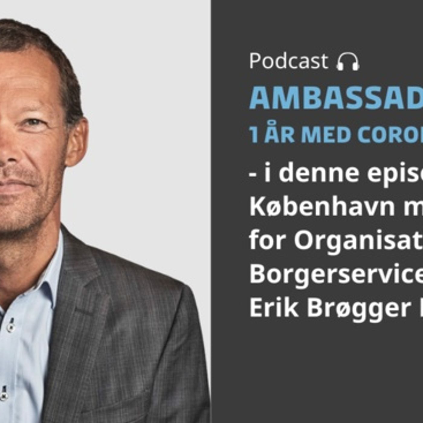 Ambassadørerne