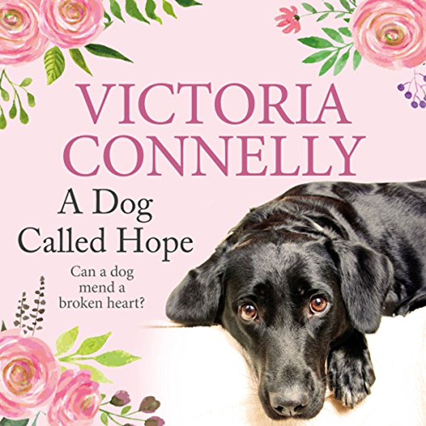 Listen to New Releases Audiobooks in Fiction, Short Stories & Anthologies