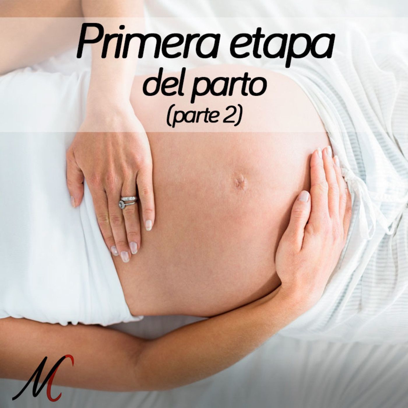 Portada de Nadie como mamá