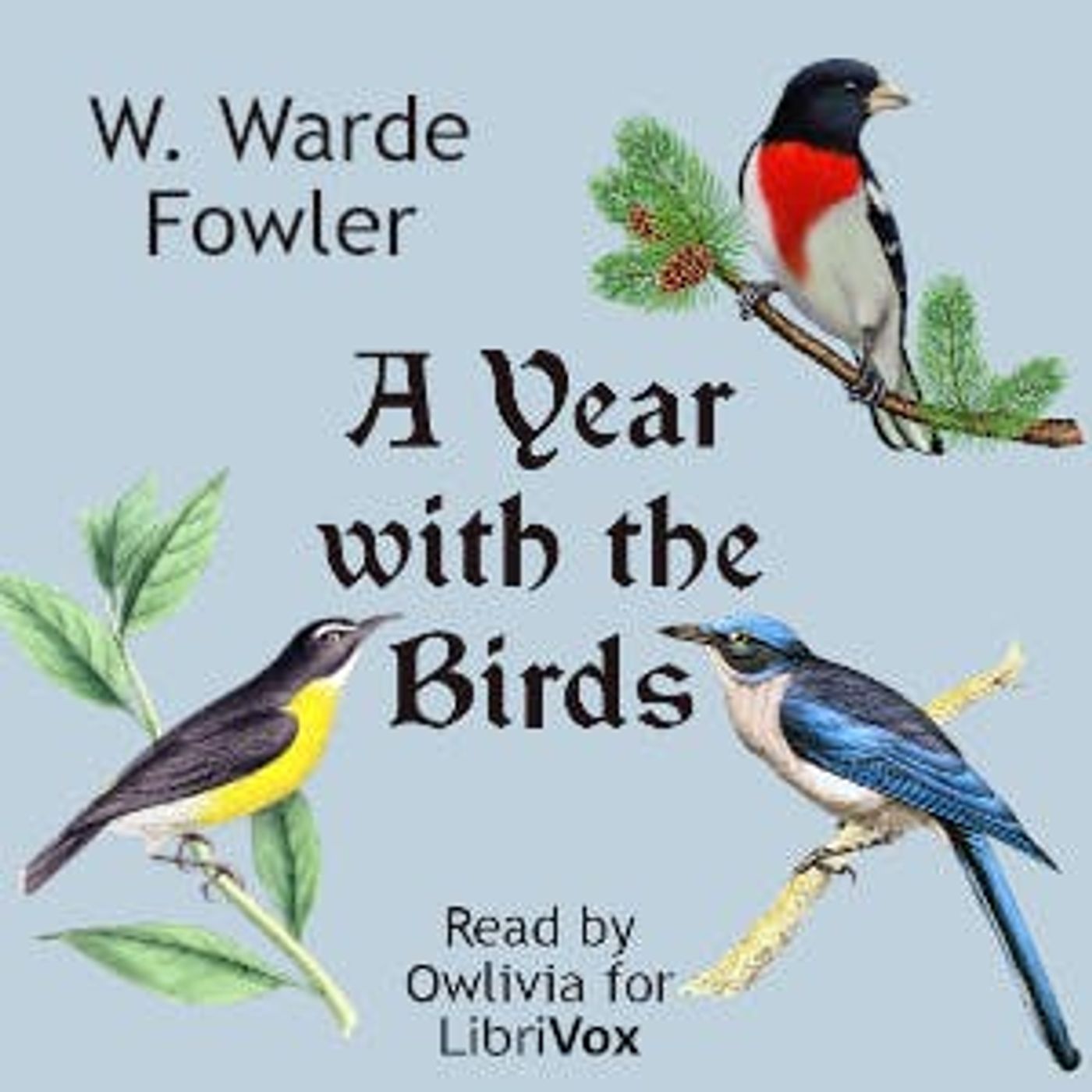 A Year with the Birds by W. Warde Fowler | Full Audiobook | Audiobook Time episode artwork