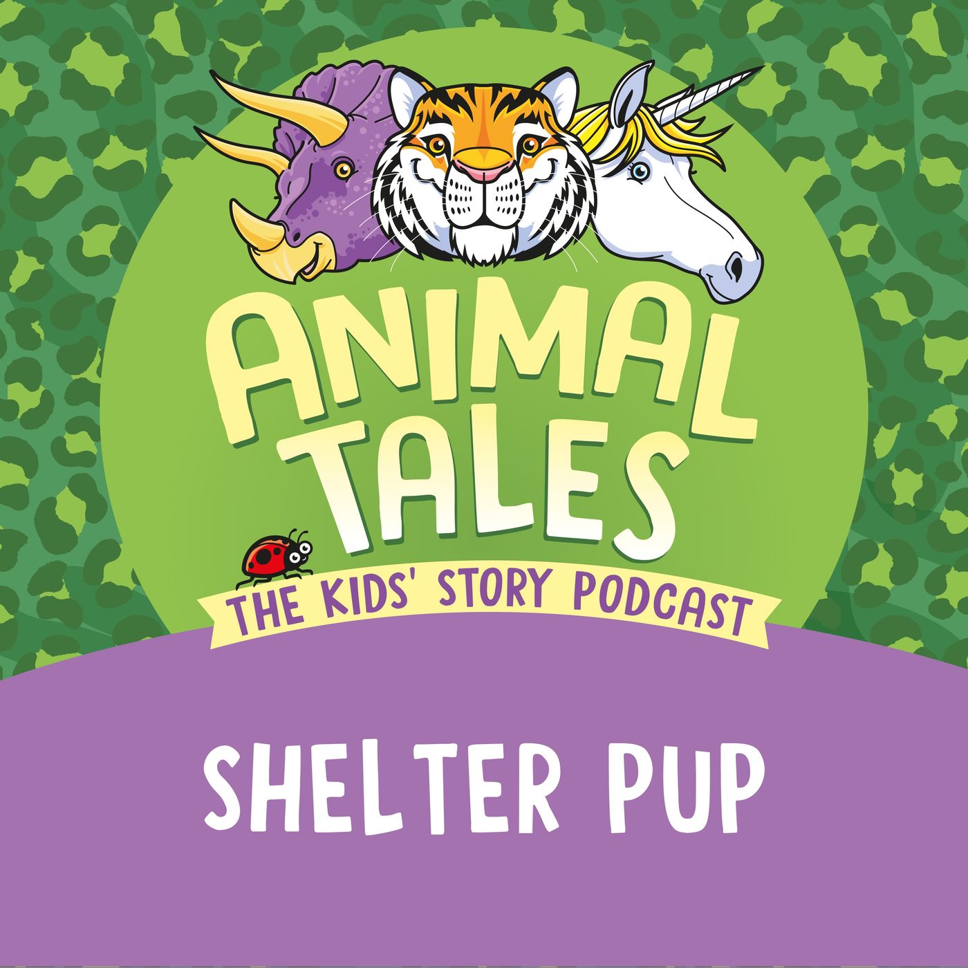 Shelter Pup