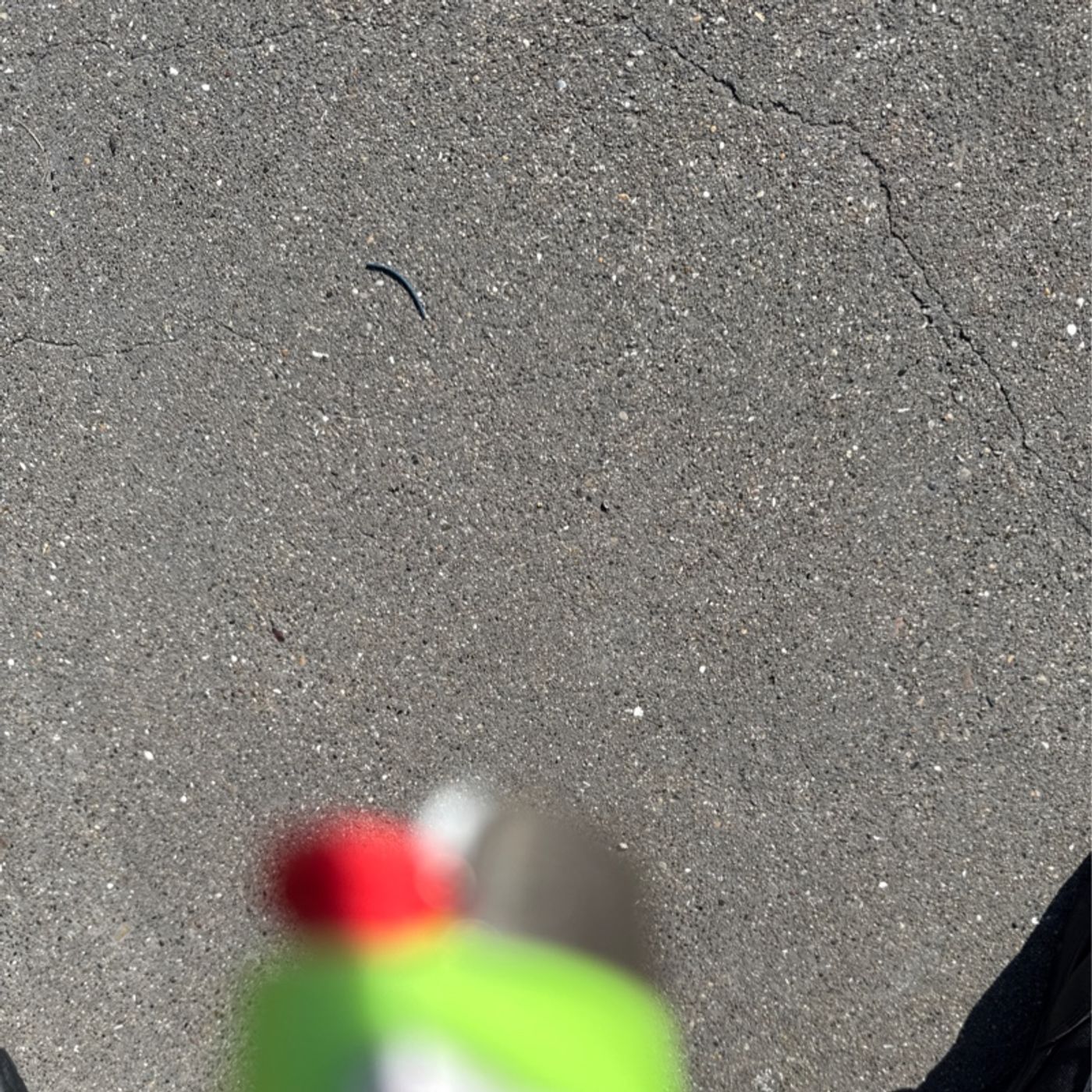 Triceps And Biceps 🌹