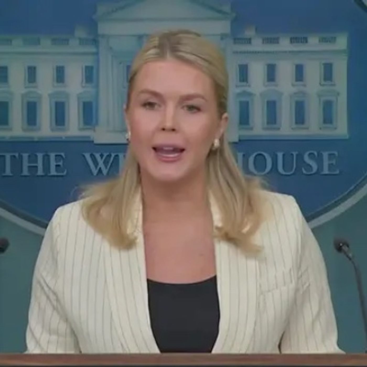 Press secretary karoline leavitt calls out president trump episode artwork