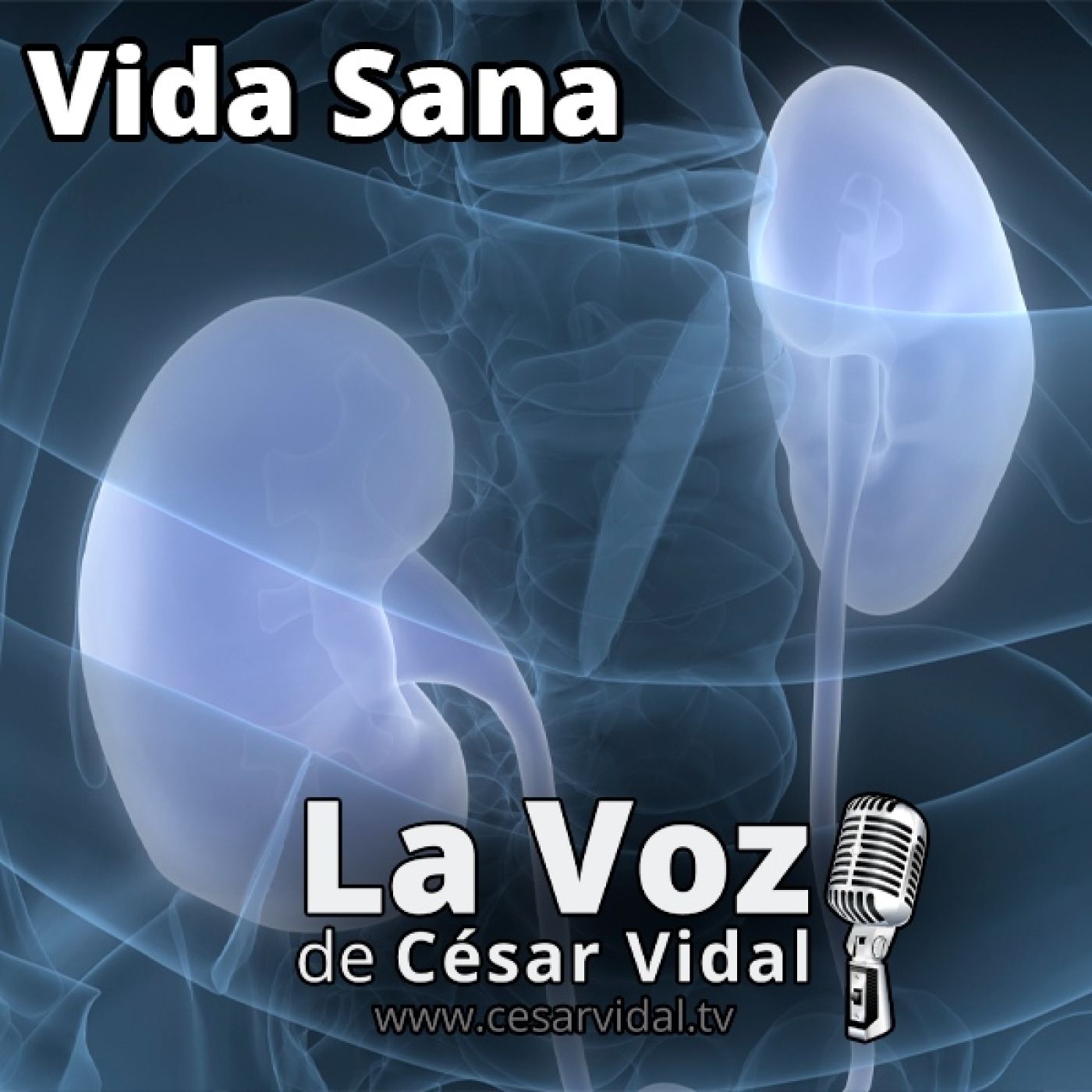 Vida sana: Dale vida a tus riñones - 05/03/25 episode artwork