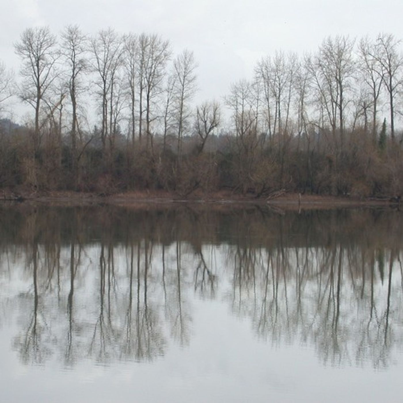 Author: Willamette 'A River Of The People' episode artwork