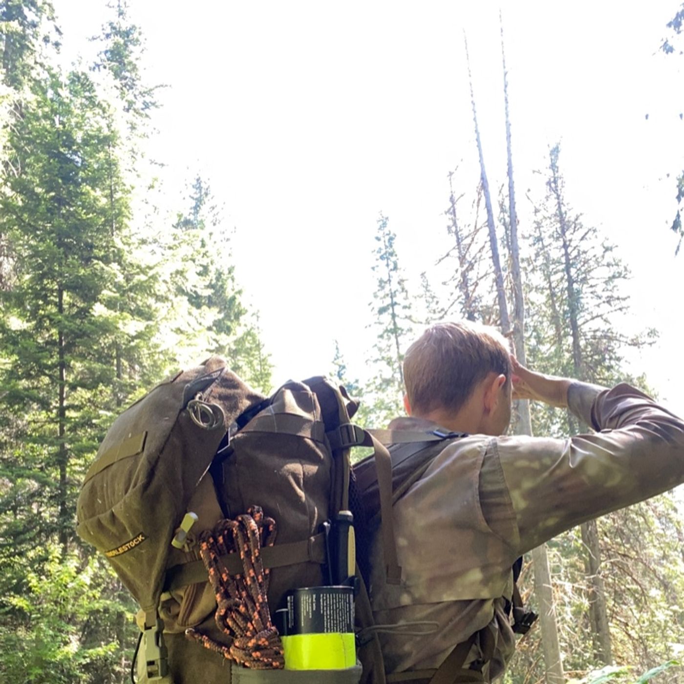 Why to Watch and Be Ready