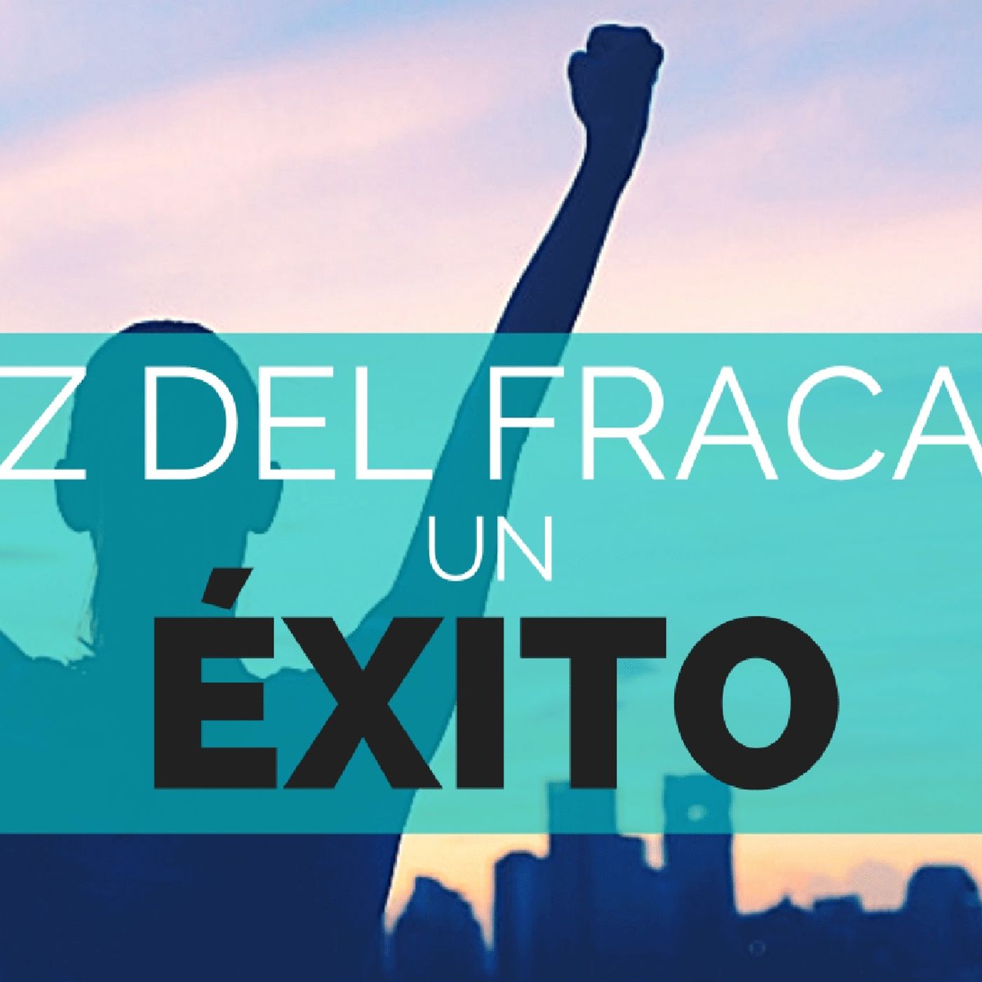 Del fracaso al Exito.
